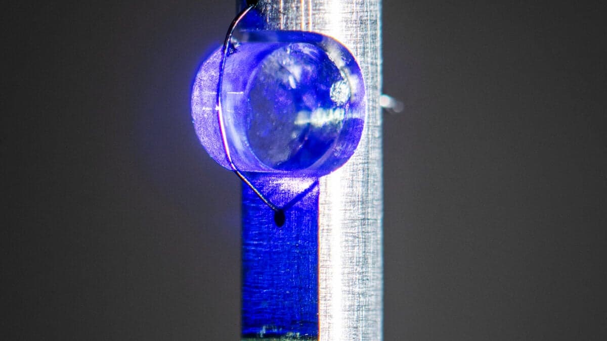 Fizikanët sapo ndërtuan orën e parë bërthamore - Gizmodo